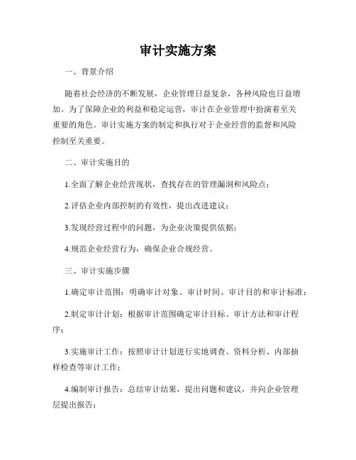 审计实施方案