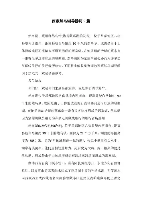 西藏然乌湖导游词5篇
