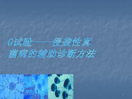 侵袭性真菌病的辅助诊断方法PPT课件