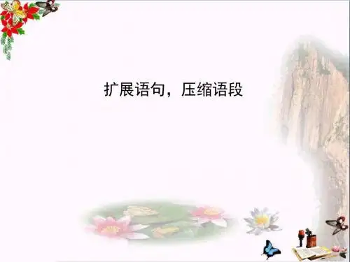高考复习扩展语句,压缩语段ppt14