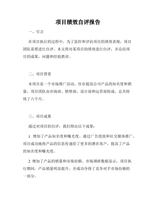 项目绩效自评报告