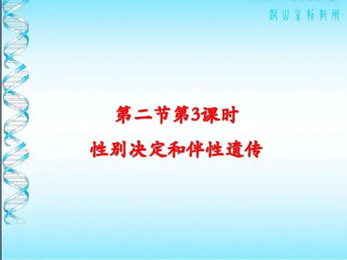 苏教版 必修2 课件：3.2.3 性别决定和伴性遗传