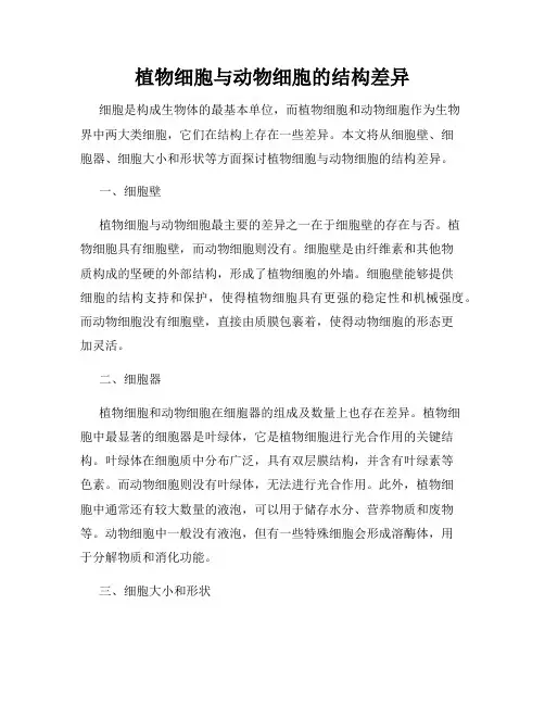 植物细胞与动物细胞的结构差异