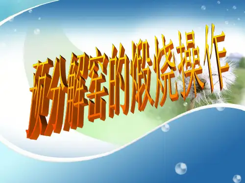 培训 第六章-2分解窑的煅烧操作