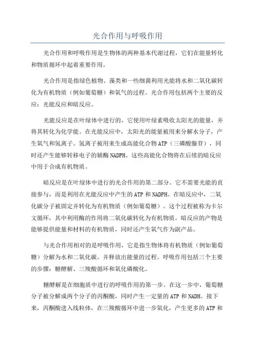 光合作用与呼吸作用
