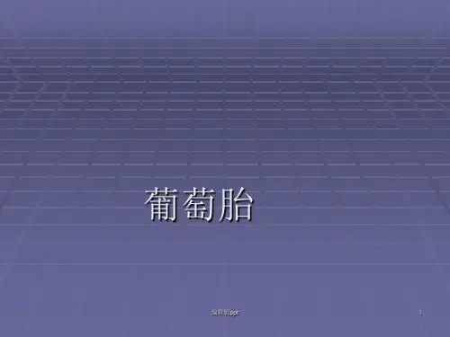 葡萄胎ppt课件