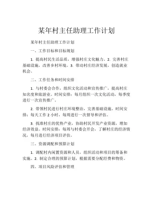 某年村主任助理工作计划