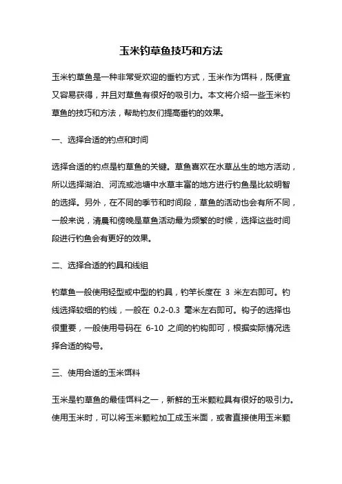 玉米钓草鱼技巧和方法