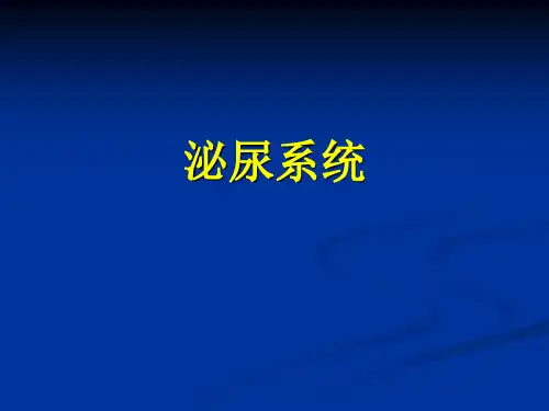核医学-肾显像PPT课件