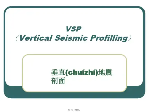 垂直地震剖面VSP