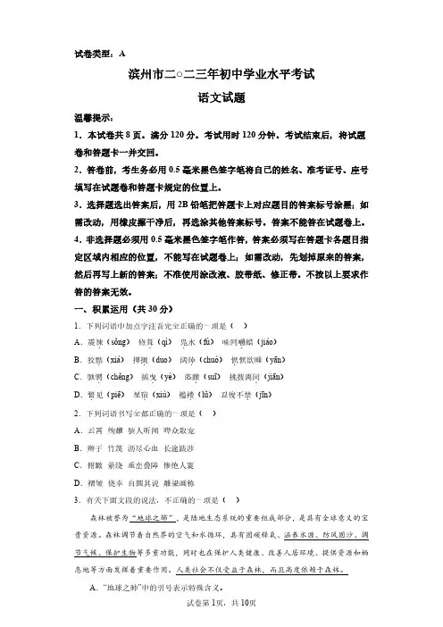 2023年山东滨州中考语文试题真题及答案详解(精校版)