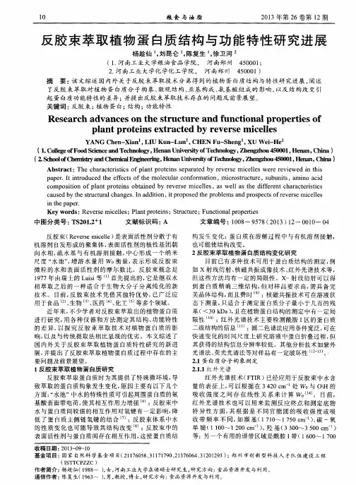 反胶束萃取植物蛋白质结构与功能特性研究进展