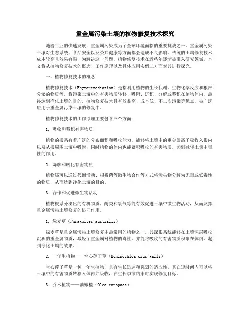 重金属污染土壤的植物修复技术探究