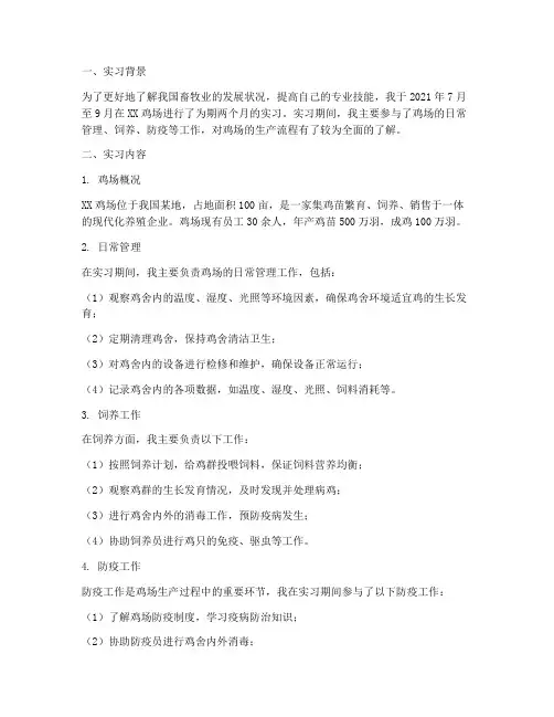 实习报告鸡场