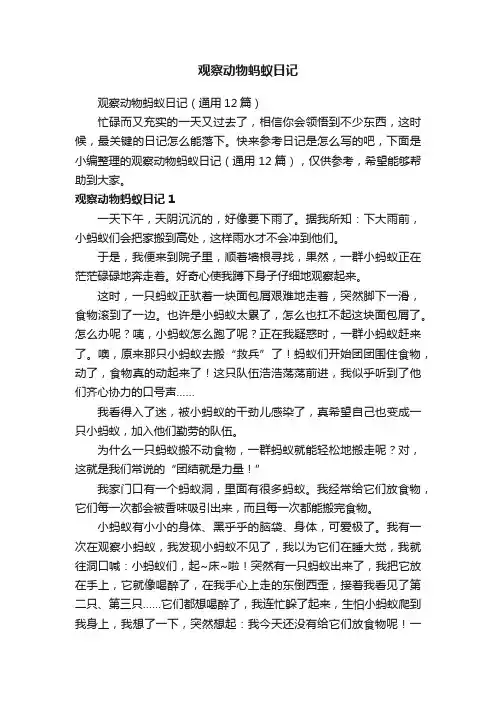 观察动物蚂蚁日记（通用12篇）