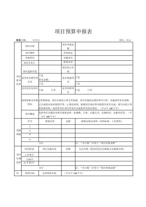 项目预算申报表