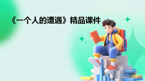 《一个人的遭遇》精品课件