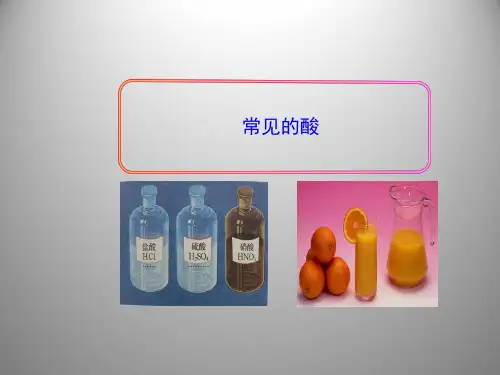 九年级上《常见的酸》课件浙教版