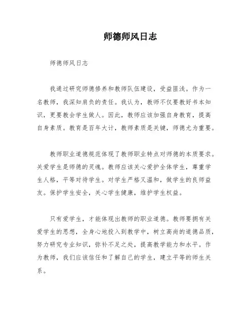 师德师风日志