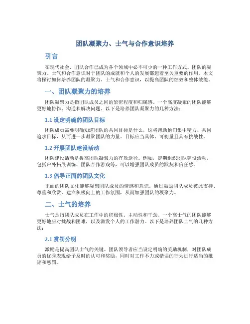 团队凝聚力士气合作意识培养