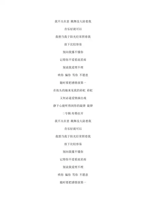 我不太在意文本歌词