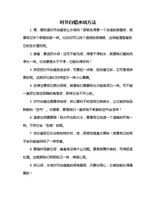 对节白蜡水培方法