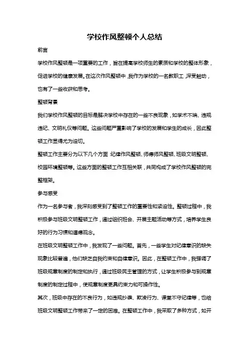 学校作风整顿个人总结