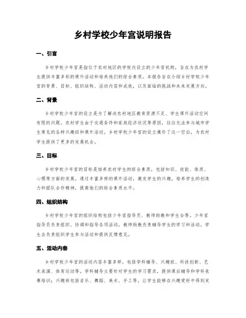 乡村学校少年宫说明报告