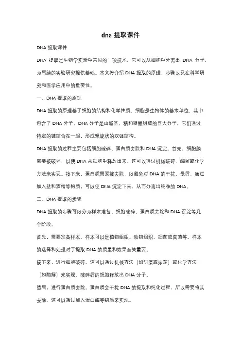 dna提取课件