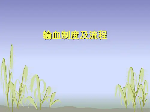 输血制度及流程