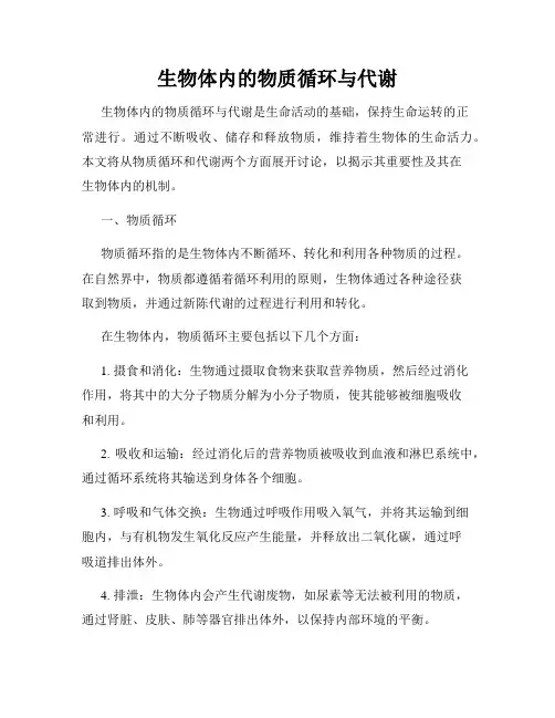 生物体内的物质循环与代谢