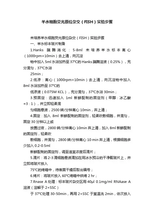羊水细胞荧光原位杂交（FISH）实验步骤