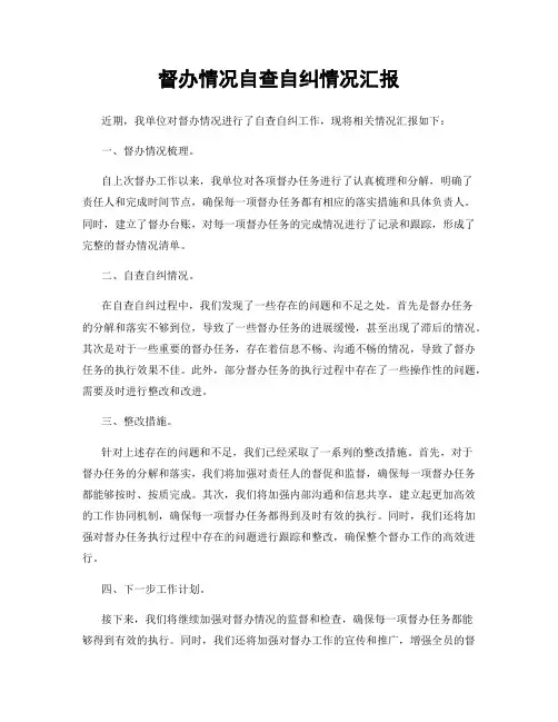 督办情况自查自纠情况汇报