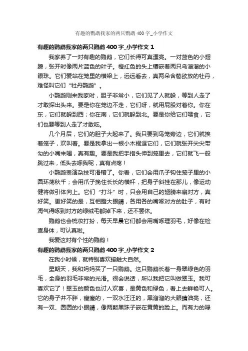 有趣的鹦鹉我家的两只鹦鹉400字_小学作文