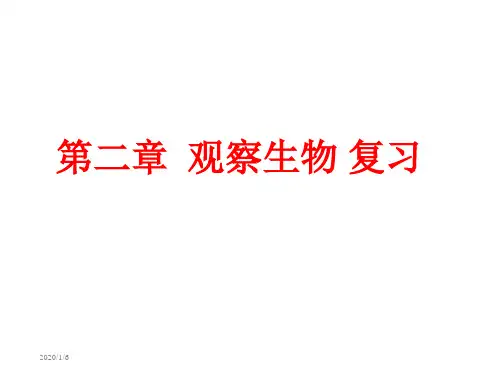 浙教版七年级科学 上册 第二章 观察生物 复习 (共50张)精品PPT课件