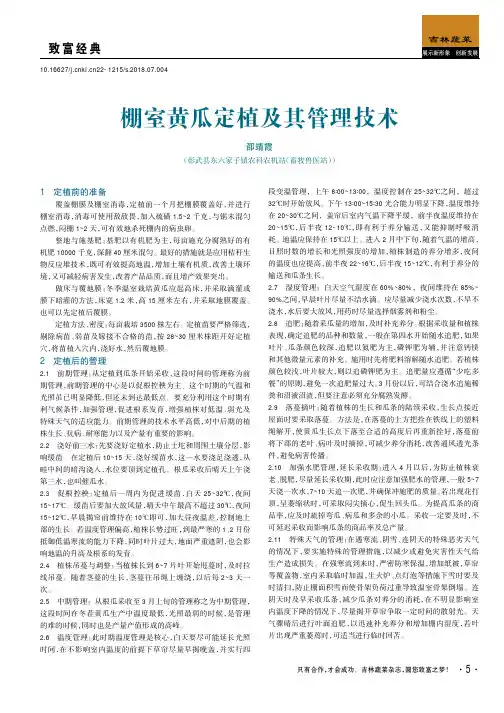 棚室黄瓜定植及其管理技术