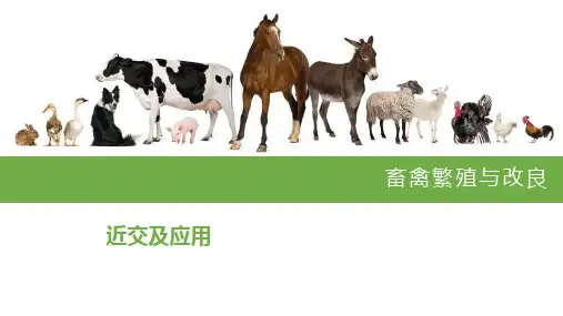 畜禽繁殖与改良近交及应用全文