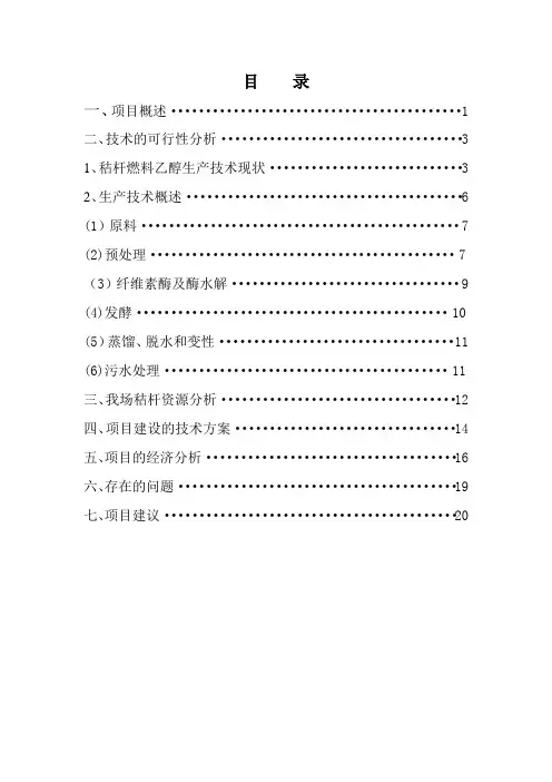 农作物秸秆生产燃料乙醇项目可行性研究报告