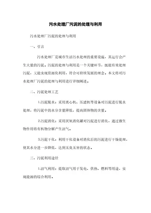 污水处理厂污泥的处理与利用(2023最新版)