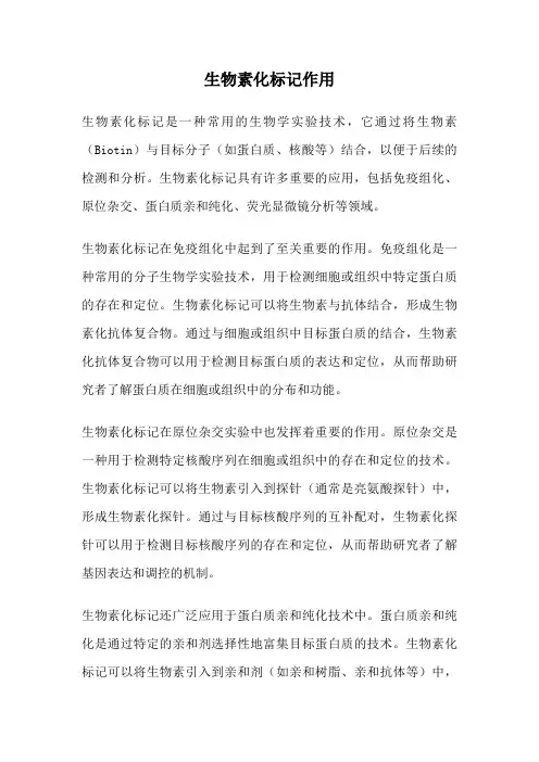 生物素化标记作用