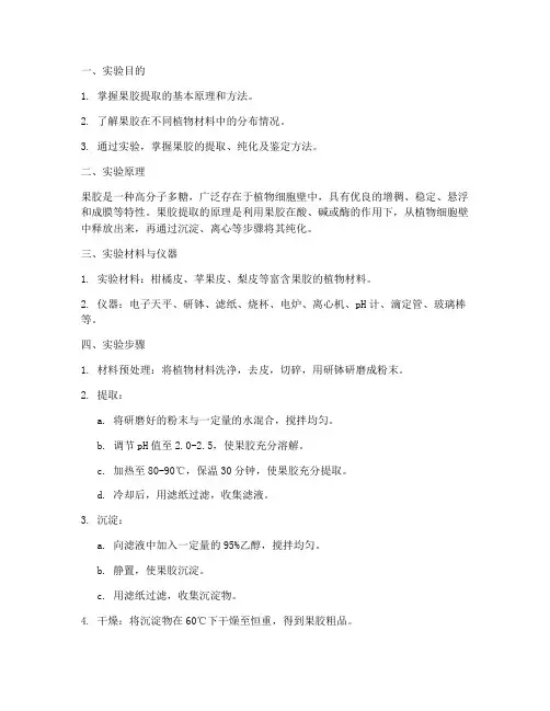 提取果胶的实验报告