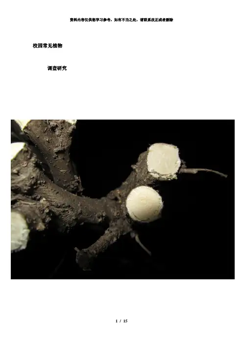 【精品】研究性学习校园常见植物调查研究