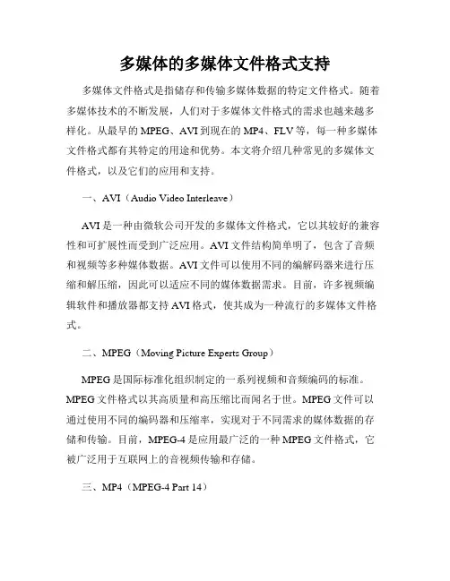 多媒体的多媒体文件格式支持
