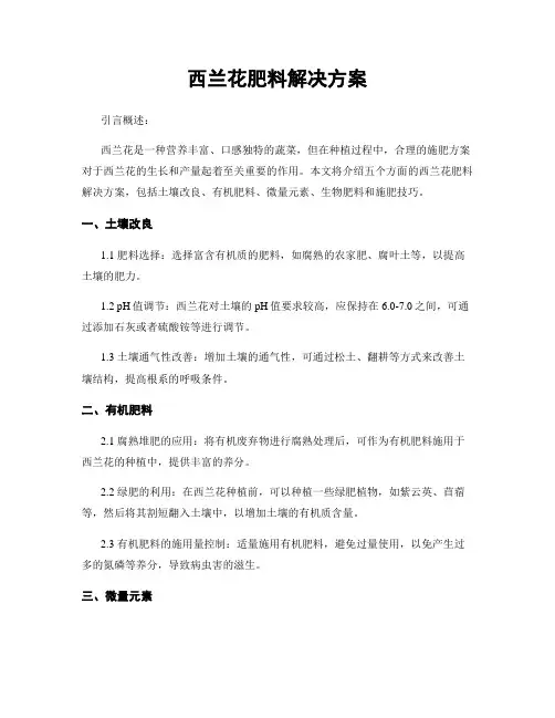 西兰花肥料解决方案