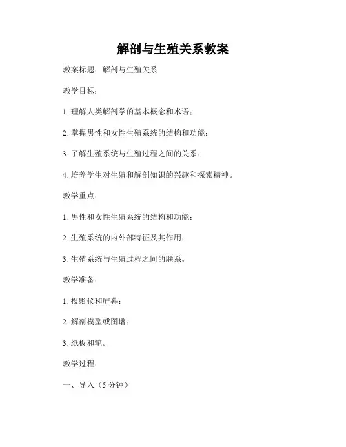 解剖与生殖关系教案
