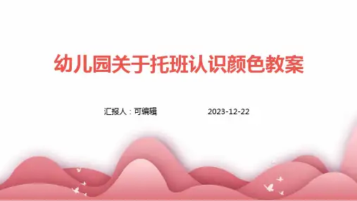 幼儿园关于托班认识颜色教案ppt
