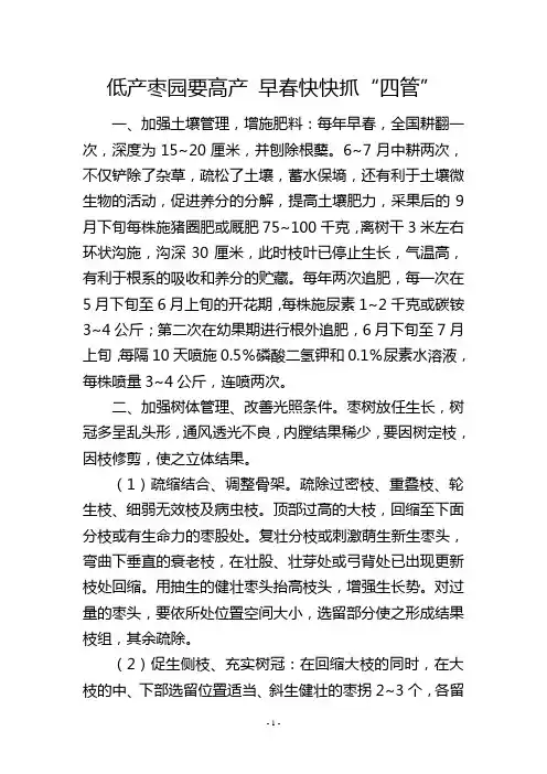 低产枣园要高产早春快快抓“四管”