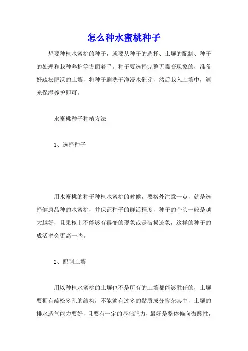 怎么种水蜜桃种子