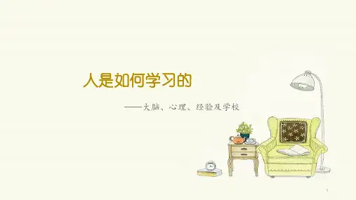 —人是如何学习的PPT幻灯片