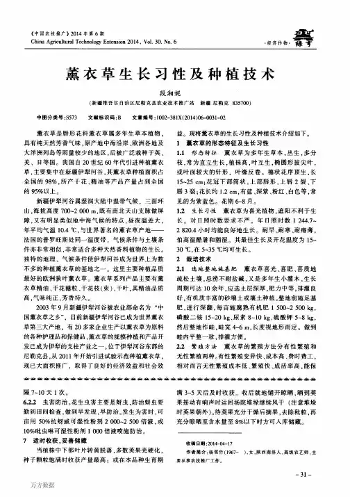 薰衣草生长习性及种植技术